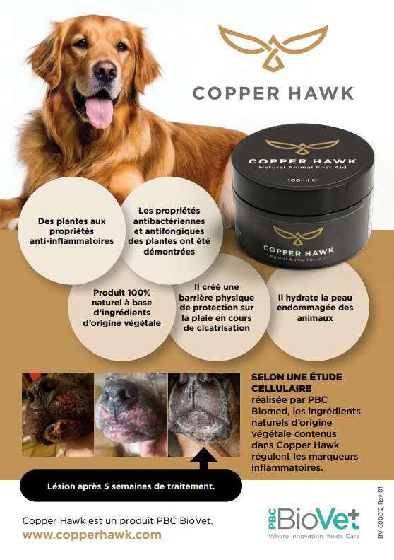 Canine_FR